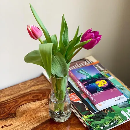 Restaurant Zum Loewen Szálloda 2*